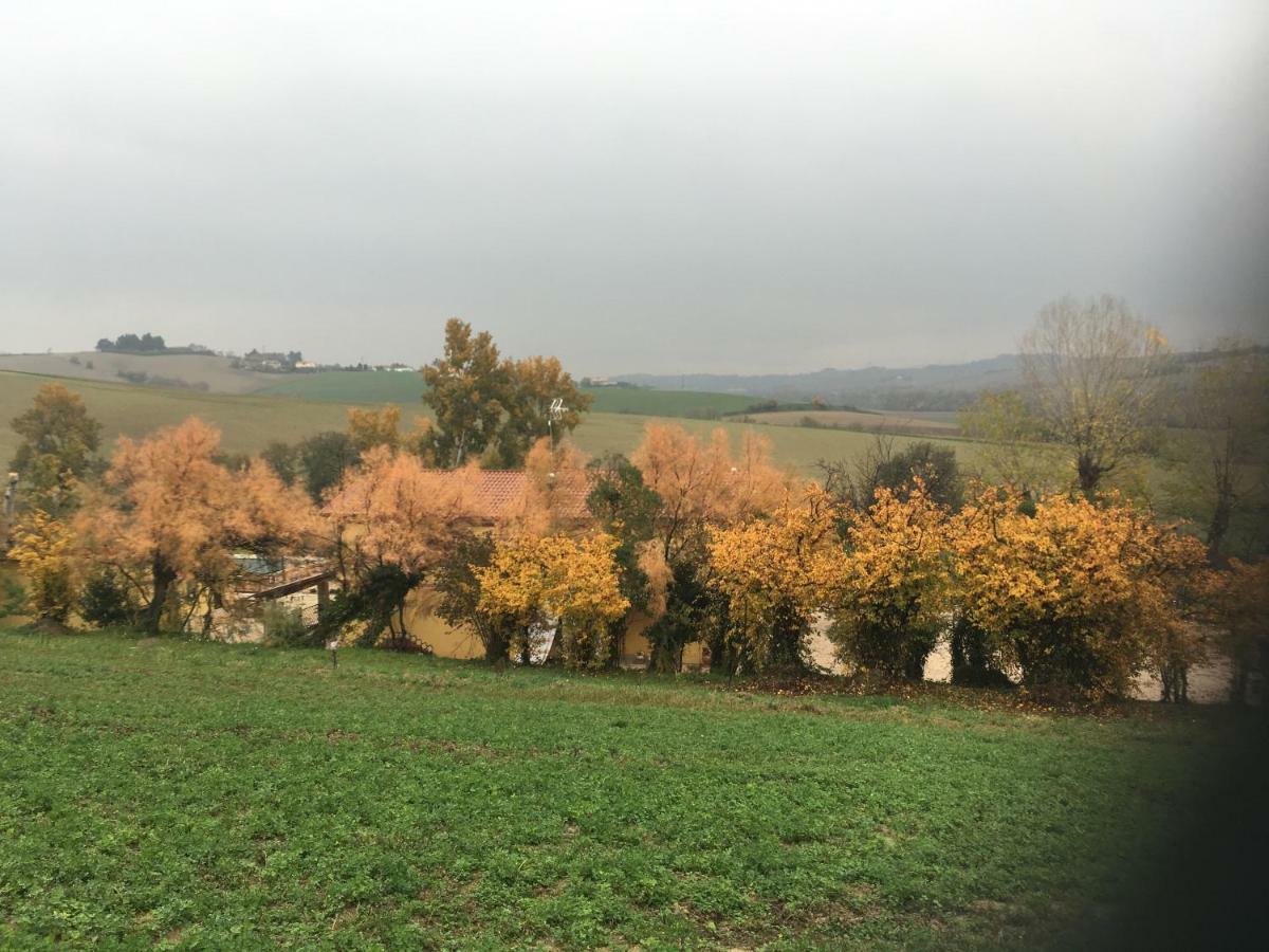 Agriturismo Fattoria Del Colle Iesi Exterior photo