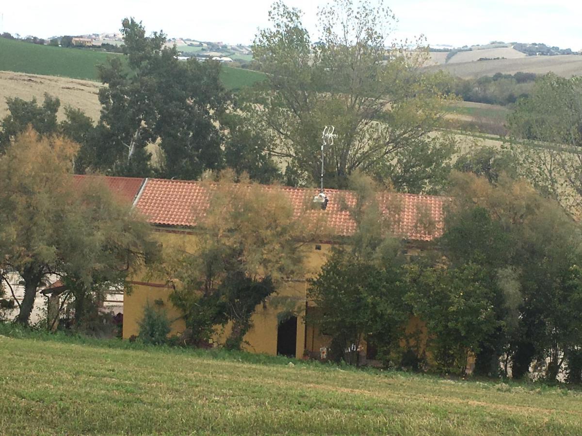 Agriturismo Fattoria Del Colle Iesi Exterior photo