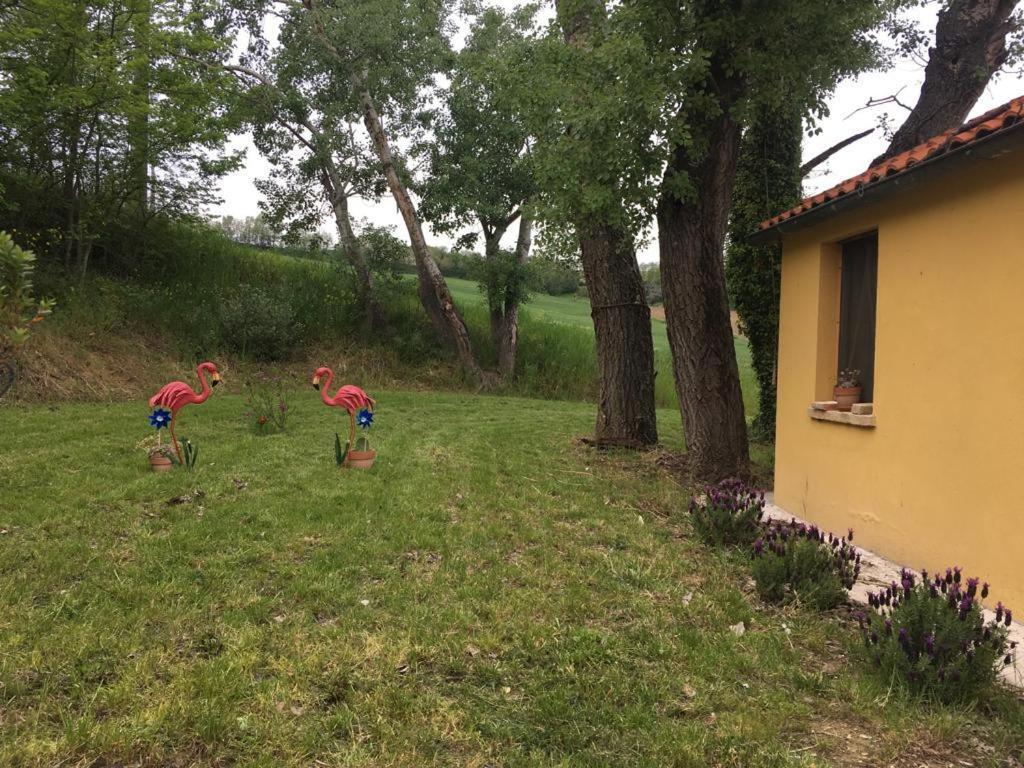 Agriturismo Fattoria Del Colle Iesi Exterior photo