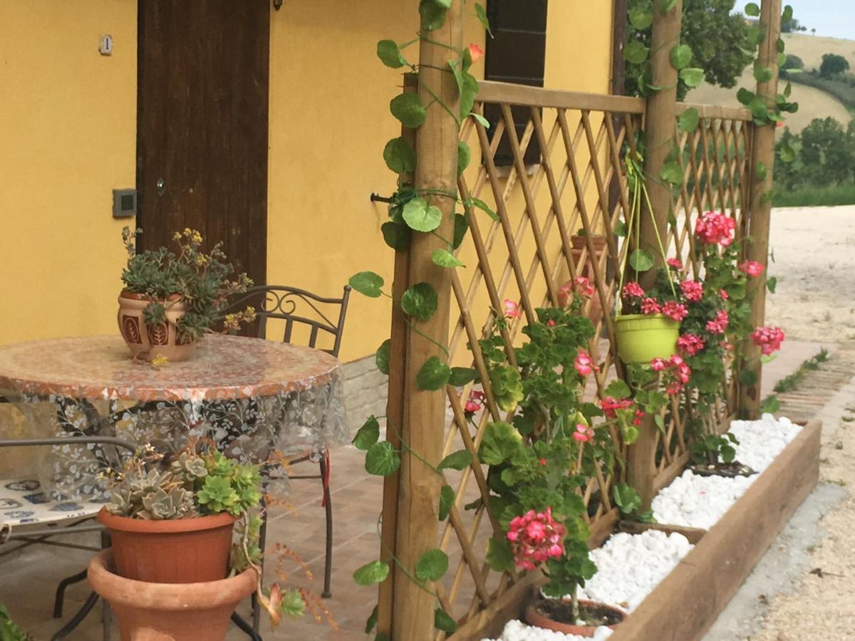 Agriturismo Fattoria Del Colle Iesi Exterior photo