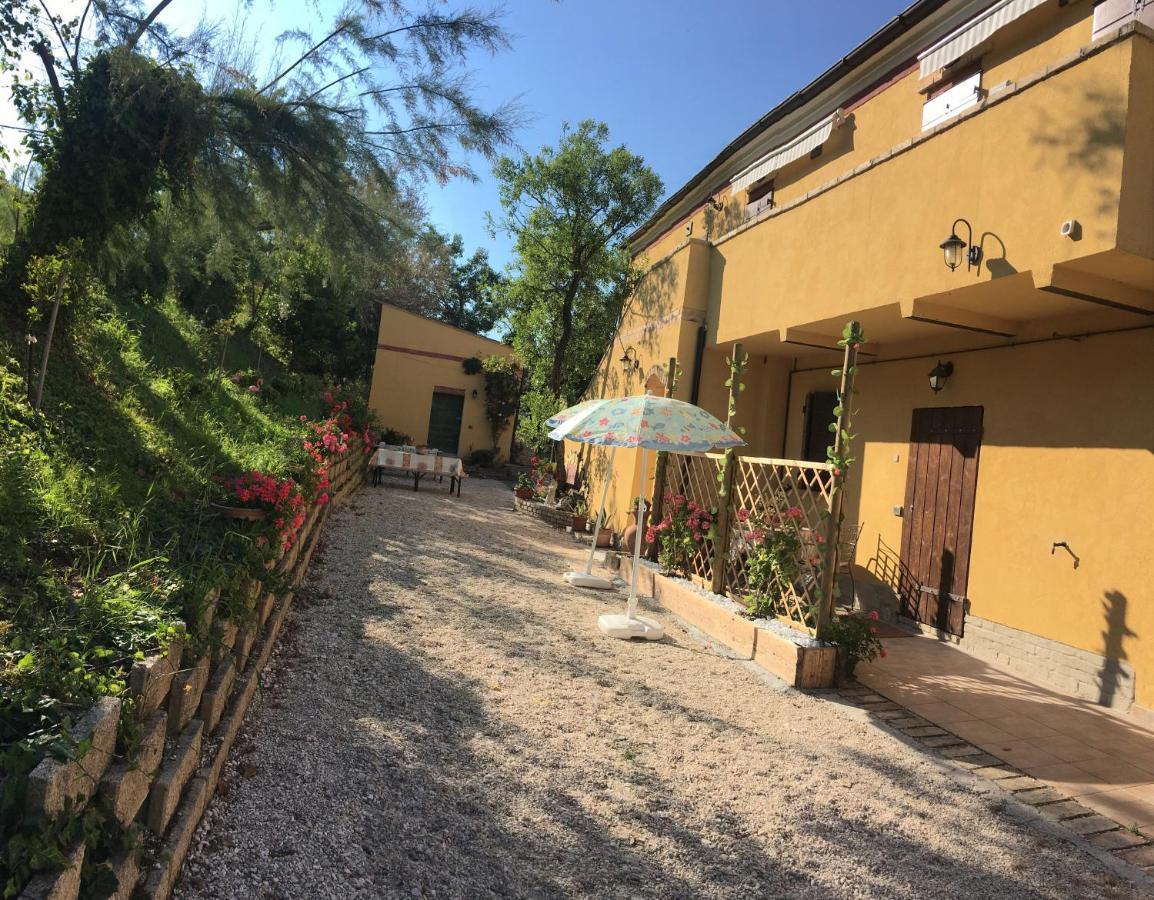 Agriturismo Fattoria Del Colle Iesi Exterior photo